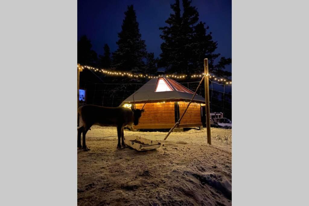 Northernlight Cabin Kiruna Extérieur photo